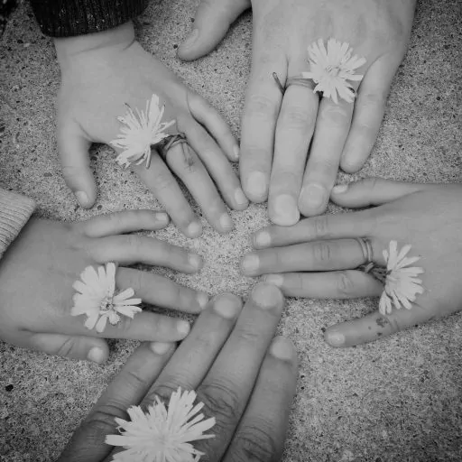2family-hand-g724e72bc8_1920_Image par Hari Mohan de Pixabay Famille pissenlit